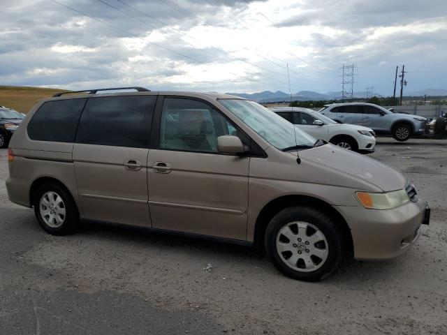 5FNRL18954B056689 - 2004 HONDA ODYSSEY EXL თაფლისფერი ფოტო 4