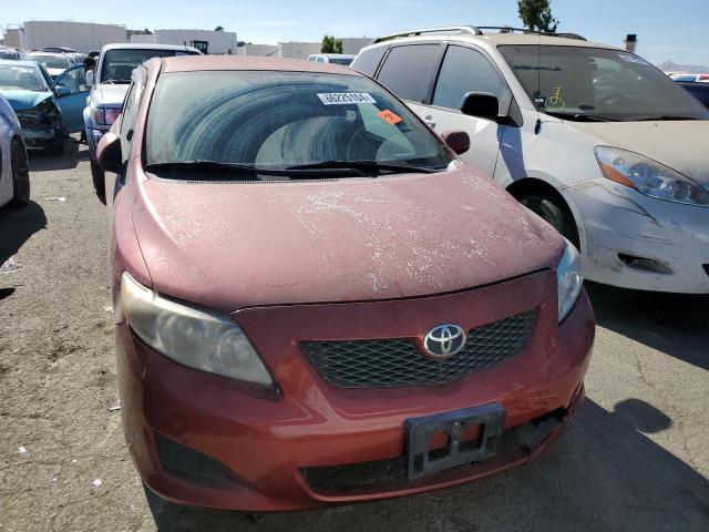 1NXBU40E29Z159829 - 2009 TOYOTA COROLLA BASE RED photo 5