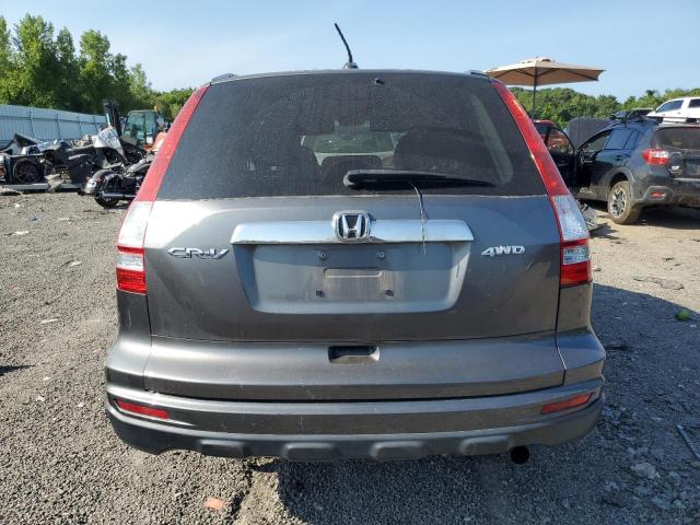 5J6RE4H77AL003716 - 2010 HONDA CR-V EXL GRAY photo 6