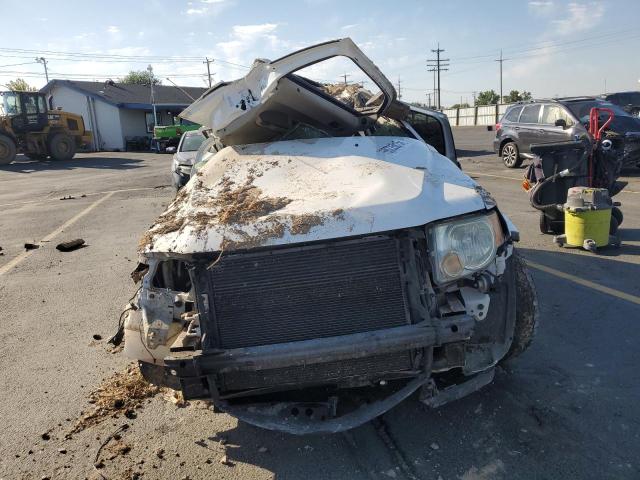 1FMCU03138KA71615 - 2008 FORD ESCAPE XLT WHITE photo 5