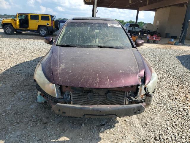 1HGCP26849A115811 - 2009 HONDA ACCORD EXL MAROON photo 5
