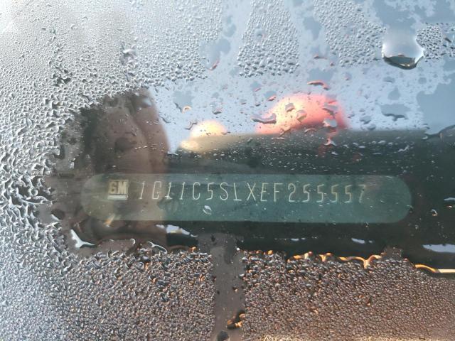 1G11C5SLXEF255557 - 2014 CHEVROLET MALIBU 1LT თაფლისფერი ფოტო 10