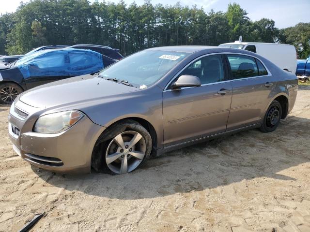 1G1ZC5EB5AF141594 - 2010 CHEVROLET MALIBU 1LT 棕色 照片 1