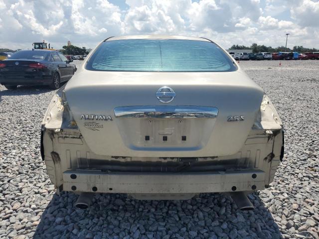 1N4AL2AP1AC171607 - 2010 NISSAN ALTIMA BASE GOLD photo 6