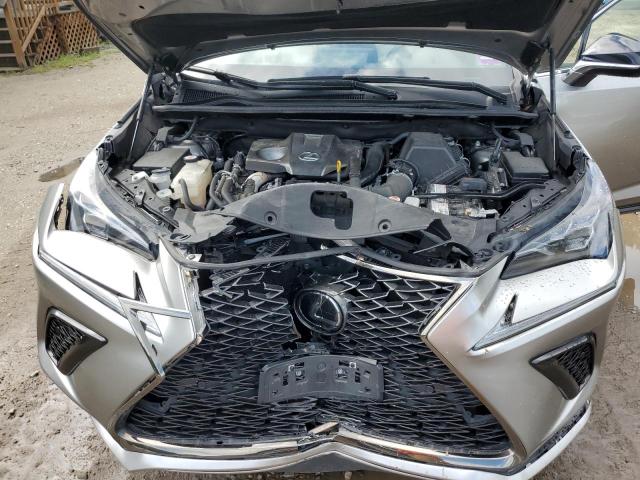 JTJSARDZ6M2256945 - 2021 LEXUS NX 300 BASE Boz foto 12