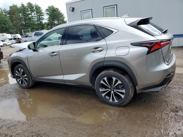 JTJSARDZ6M2256945 - 2021 LEXUS NX 300 BASE Boz foto 2