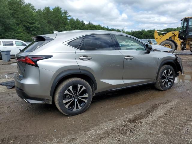 JTJSARDZ6M2256945 - 2021 LEXUS NX 300 BASE Boz foto 3