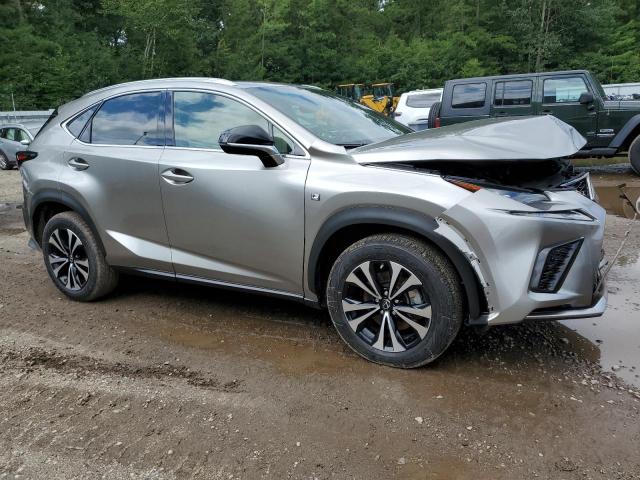JTJSARDZ6M2256945 - 2021 LEXUS NX 300 BASE Boz foto 4