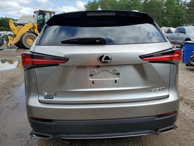 JTJSARDZ6M2256945 - 2021 LEXUS NX 300 BASE Boz foto 6