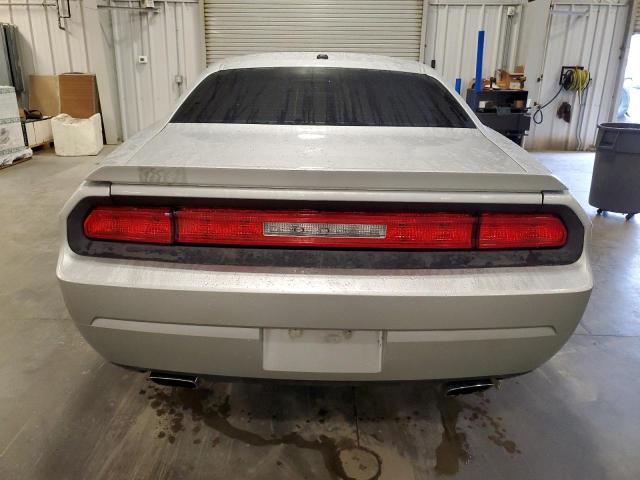 2B3CJ5DT6AH219927 - 2010 DODGE CHALLENGER R/T SILVER photo 6