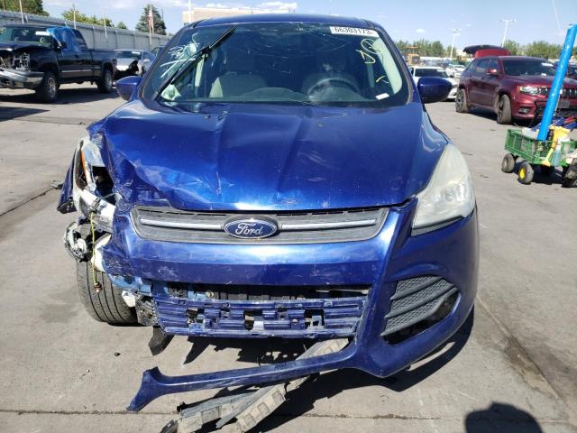 1FMCU9G92EUE26360 - 2014 FORD ESCAPE SE BLUE photo 5