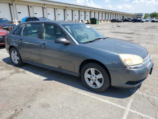 1G1ZT64844F199499 - 2004 CHEVROLET MALIBU MAXX LS ნაცრისფერი ფოტო 4