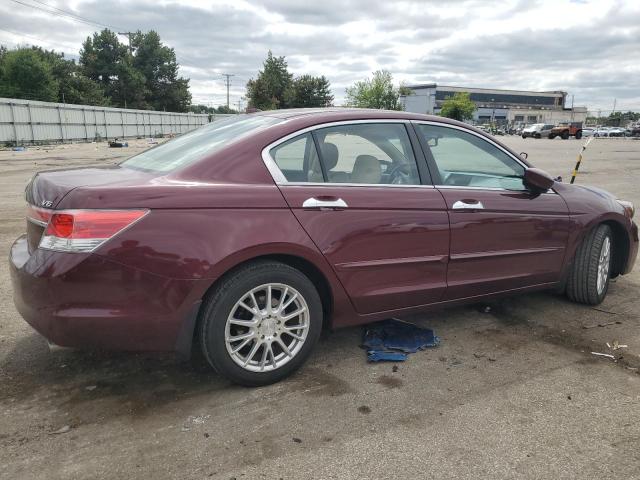 1HGCP3F85CA019280 - 2012 HONDA ACCORD EXL BURGUNDY photo 3