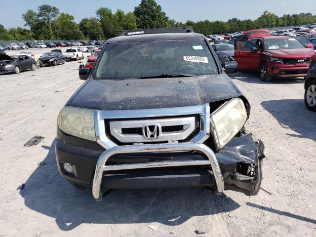 5FNYF48559B015892 - 2009 HONDA PILOT EXL BLACK photo 5