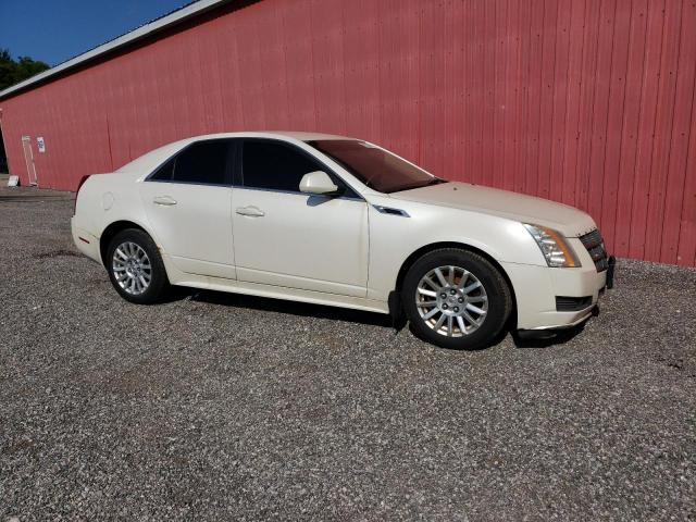 1G6DG5EY5B0118852 - 2011 CADILLAC CTS LUXURY COLLECTION CREAM photo 4