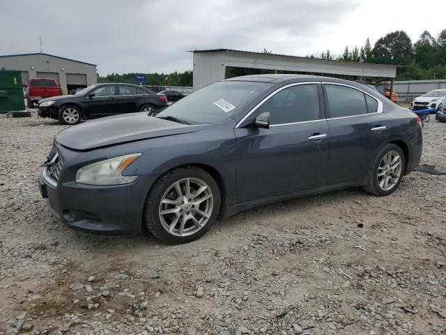 1N4AA5AP6AC843300 - 2010 NISSAN MAXIMA S GRAY photo 1