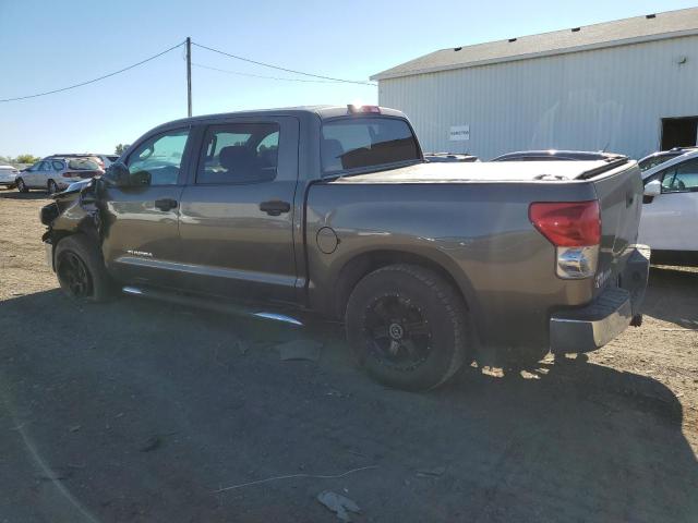 5TBDV54158S500899 - 2008 TOYOTA TUNDRA CREWMAX TAN photo 2