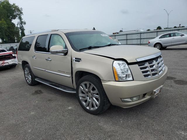 1GYFK66868R230597 - 2008 CADILLAC ESCALADE ESV GOLD photo 4