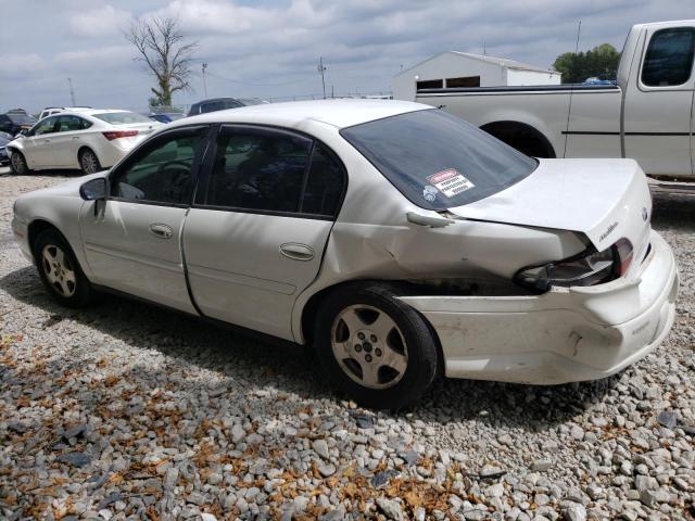 1G1ND52J02M504565 - 2002 CHEVROLET MALIBU WHITE photo 2