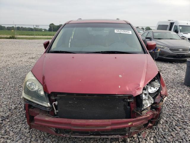 5FNRL38786B412386 - 2006 HONDA ODYSSEY EXL أحمر صورة 5