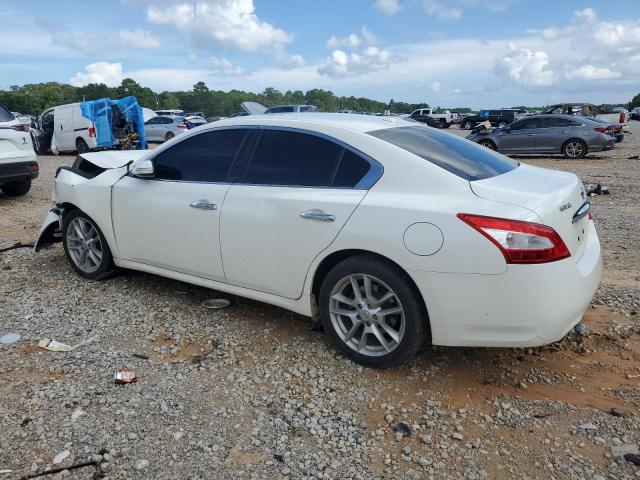 1N4AA5AP0AC816903 - 2010 NISSAN MAXIMA S WHITE photo 2