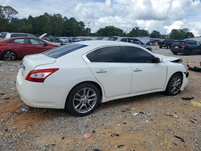 1N4AA5AP0AC816903 - 2010 NISSAN MAXIMA S WHITE photo 3