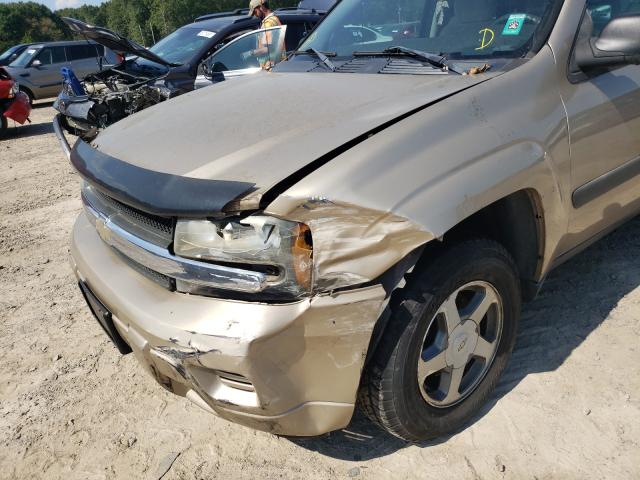 1GNDT13S652225487 - 2005 CHEVROLET TRAILBLAZE LS GOLD photo 9