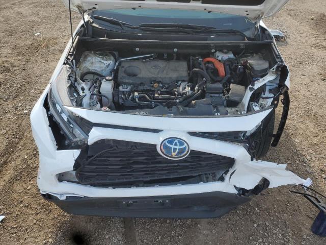 4T3MWRFV0MU033959 - 2021 TOYOTA RAV4 LE 白色 照片 11