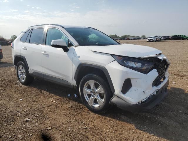 4T3MWRFV0MU033959 - 2021 TOYOTA RAV4 LE 白色 照片 4