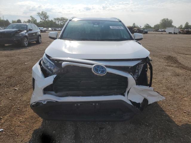 4T3MWRFV0MU033959 - 2021 TOYOTA RAV4 LE 白色 照片 5