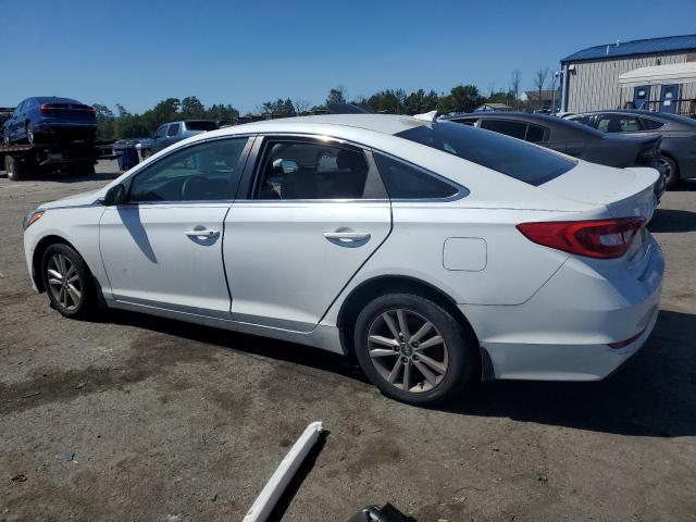 5NPE24AA3GH427376 - 2016 HYUNDAI SONATA ECO WHITE photo 2