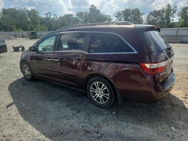 5FNRL5H64BB049338 - 2011 HONDA ODYSSEY EXL Tünd qırmızı foto 2