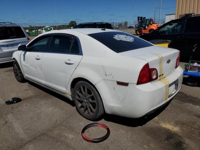 1G1ZH57B99F256225 - 2009 CHEVROLET MALIBU 1LT 白色 照片 2
