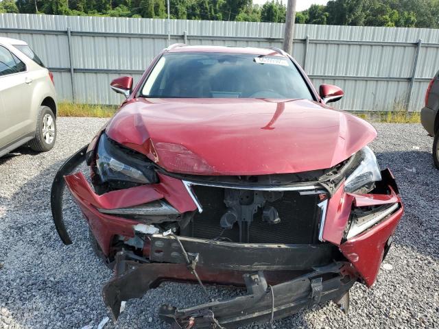 JTJGARBZ3M5033138 - 2021 LEXUS NX 300 BASE წითელი ფოტო 5