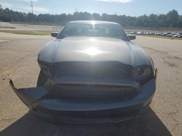 1ZVBP8AM5D5204738 - 2013 FORD MUSTANG GRAY photo 5