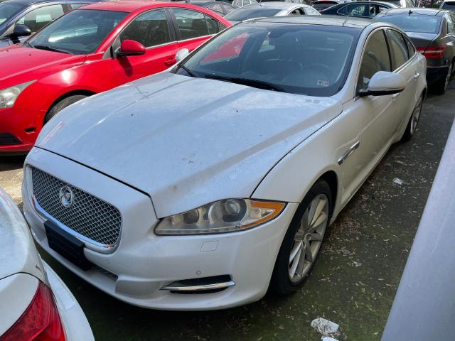 SAJWJ1CD7D8V49599 - 2013 JAGUAR XJ WHITE photo 2