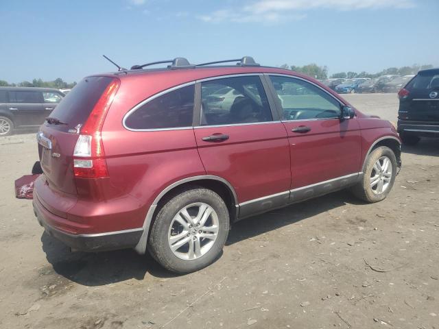 5J6RE4H56AL004077 - 2010 HONDA CR-V EX BURGUNDY photo 3