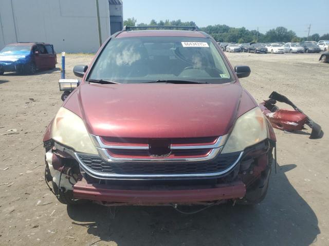 5J6RE4H56AL004077 - 2010 HONDA CR-V EX BURGUNDY photo 5