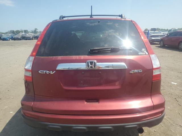 5J6RE4H56AL004077 - 2010 HONDA CR-V EX BURGUNDY photo 6