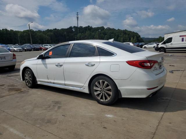 5NPE34AF8GH264040 - 2016 HYUNDAI SONATA SPORT 白色 照片 2