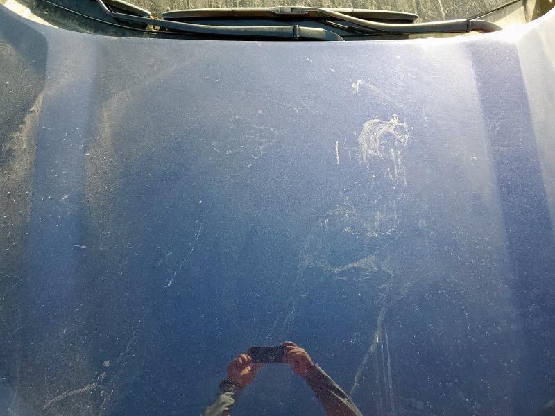 4T3RWRFV5RU161076 - 2024 TOYOTA RAV4 XLE BLUE photo 11