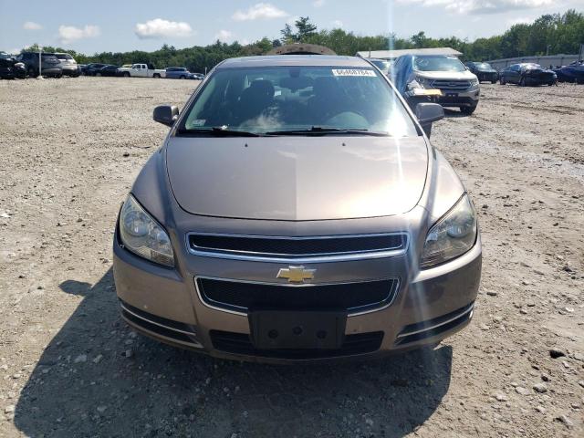 1G1ZC5E01CF172830 - 2012 CHEVROLET MALIBU 1LT 棕色 照片 5