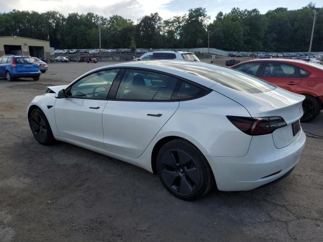 5YJ3E1EA2PF577839 - 2023 TESLA MODEL 3 Ağ foto 2