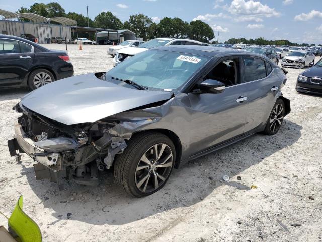 1N4AA6APXGC389650 - 2016 NISSAN MAXIMA 3.5S GRAY photo 1