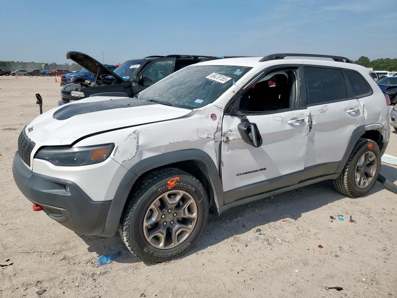1C4PJMBX2KD301684 - 2019 JEEP CHEROKEE TRAILHAWK WHITE photo 1
