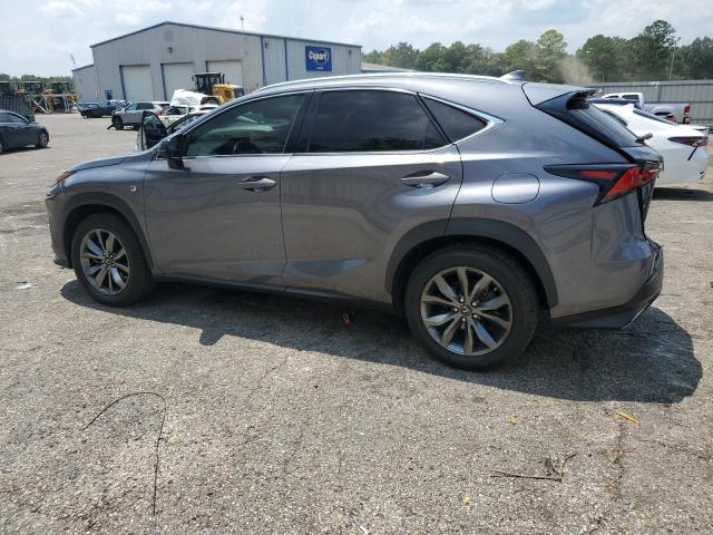JTJYARBZ7J2089391 - 2018 LEXUS NX 300 BASE Boz foto 2