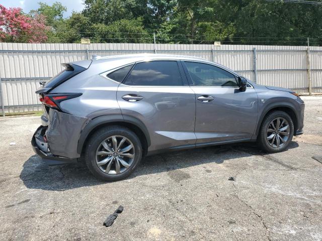 JTJYARBZ7J2089391 - 2018 LEXUS NX 300 BASE Boz foto 3