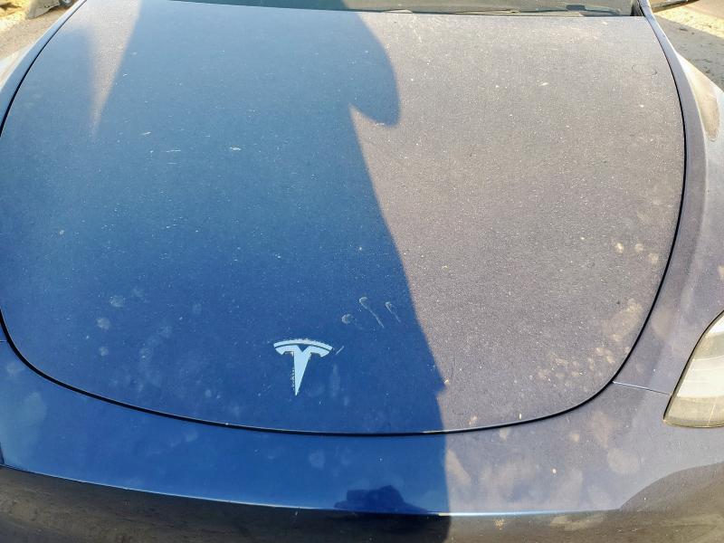 5YJYGDEE2LF012442 - 2020 TESLA MODEL Y BLUE photo 11