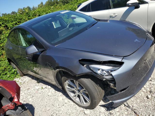 5YJYGDEE5MF177242 - 2021 TESLA MODEL Y GRAY photo 3