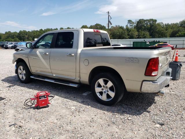 1D3HV13T69J505278 - 2009 DODGE RAM 1500 TAN photo 2